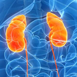 Nephrology & Dialysis